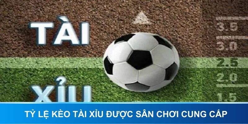Tỷ lệ kèo tài xỉu được sân chơi cung cấp
